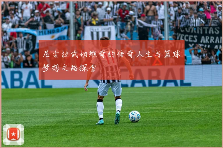 尼古拉武切维奇的传奇人生与篮球梦想之路探索