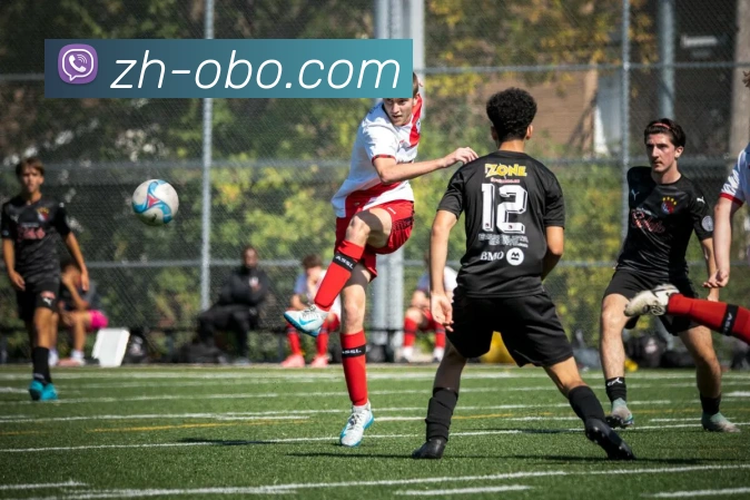 尼古拉武切维奇的传奇人生与篮球梦想之路探索