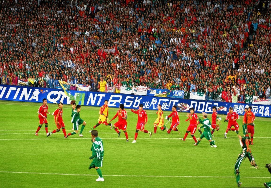 2008年中巴足球友谊赛：激情与文化碰撞纪实
