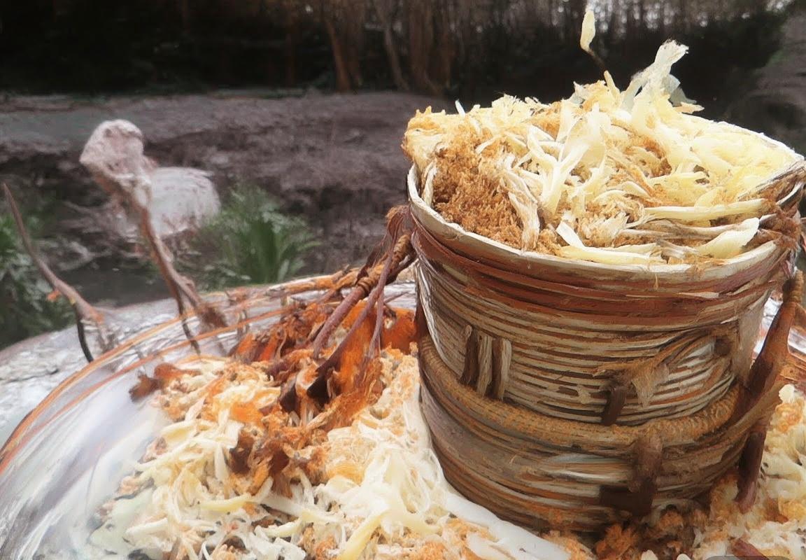 费伦VS巴萨：欧战资格争夺战的历史对决与未来展望